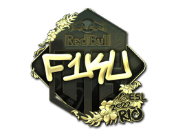 CS2 F1KU