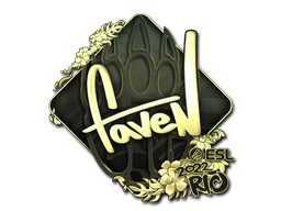 CS2 faveN