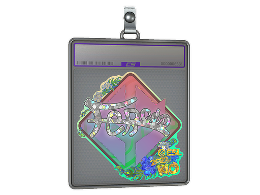 fer - CS2 Sticker