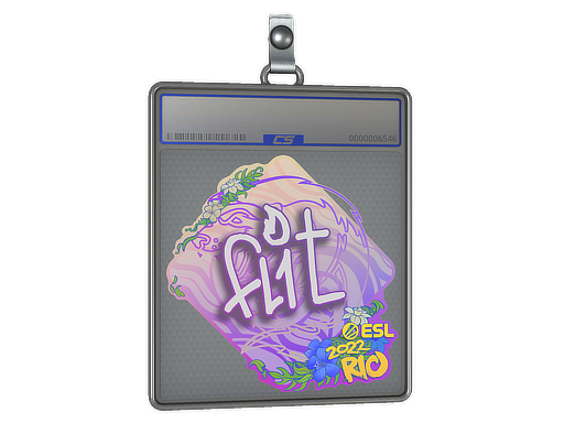 FL1T - CS2 Sticker
