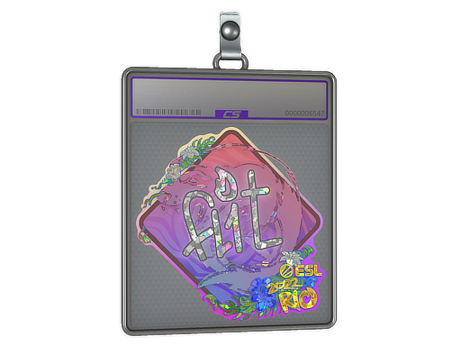 FL1T - CS2 Sticker