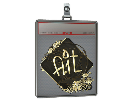 FL1T - CS2 Sticker