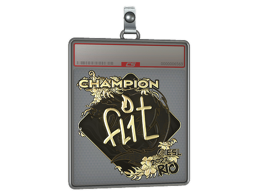 FL1T - CS2 Sticker