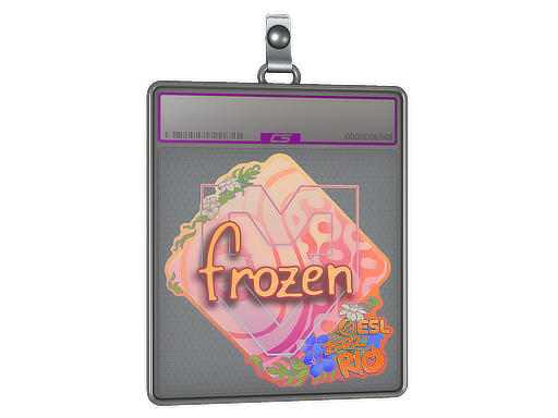 Sticker Slab | frozen | Rio 2022