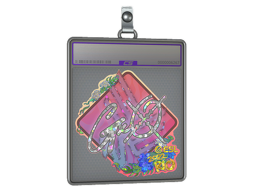 gxx- - CS2 Sticker