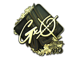 CS2 gxx-