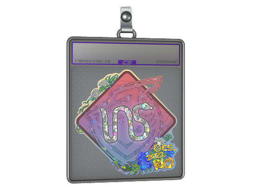 ins - CS2 Sticker