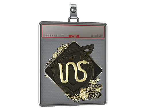 ins - CS2 Sticker