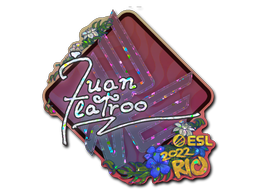 CS2 juanflatroo