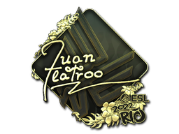 CS2 juanflatroo