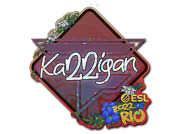 CS2 karrigan