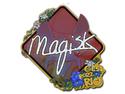 CS2 Magisk