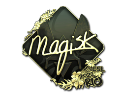 CS2 Magisk