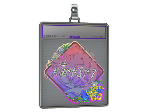 n0rb3r7 - CS2 Sticker