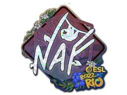 CS2 NAF