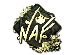 CS2 NAF