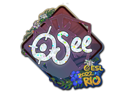 CS2 oSee