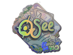 CS2 oSee