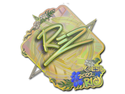 CS2 REZ