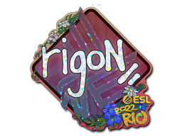CS2 rigoN