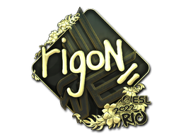 CS2 rigoN