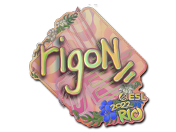 CS2 rigoN