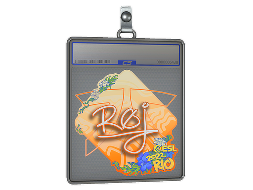 roeJ - CS2 Sticker