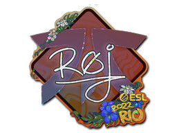 CS2 roeJ
