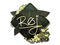 CS2 roeJ