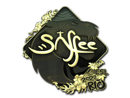 CS2 saffee