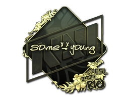 CS2 sdy