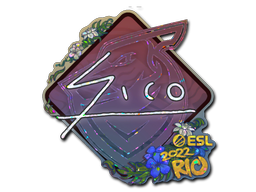 CS2 Sico