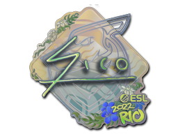 CS2 Sico