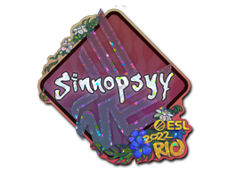 CS2 sinnopsyy