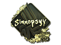 CS2 sinnopsyy