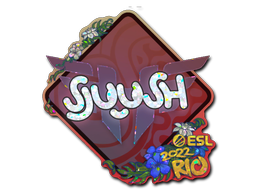 CS2 sjuush