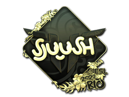 CS2 sjuush