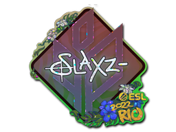 CS2 slaxz-