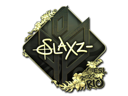 CS2 slaxz-