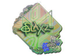 CS2 slaxz-