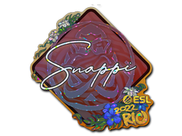 CS2 Snappi