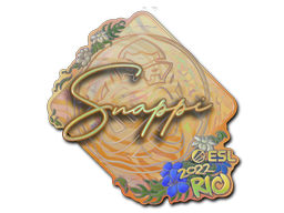 CS2 Snappi
