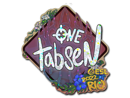 CS2 tabseN