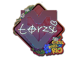 CS2 torzsi