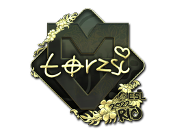 CS2 torzsi