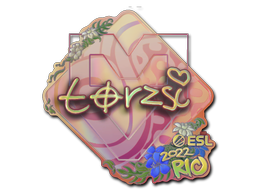 CS2 torzsi