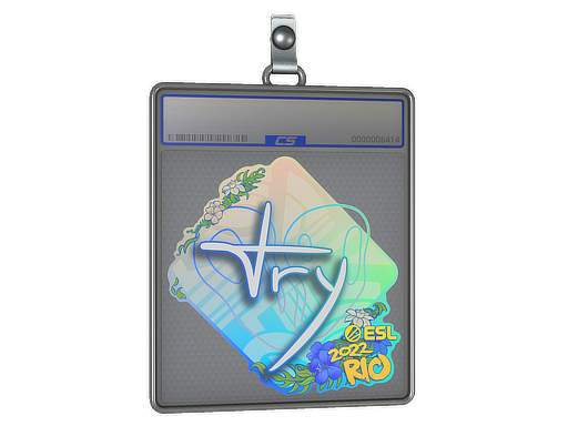TRY - CS2 Sticker