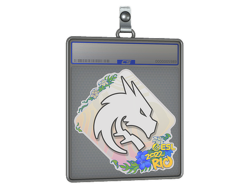 Team Spirit - CS2 Sticker
