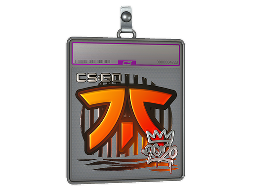 Sticker Slab | Fnatic | 2020 RMR