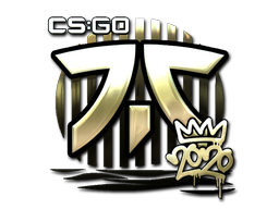 CS2  Fnatic 
